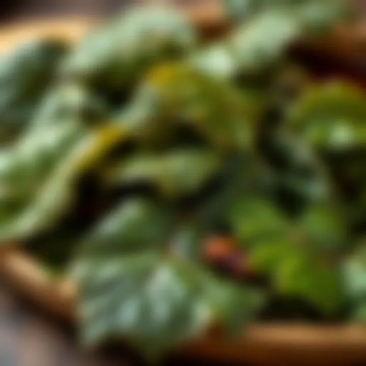 Historical context of grape leaves