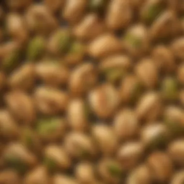 Close-up of pistachio nuts used in baklava