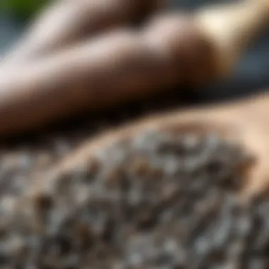 Nutritional Powerhouse Close-up of black cumin seeds