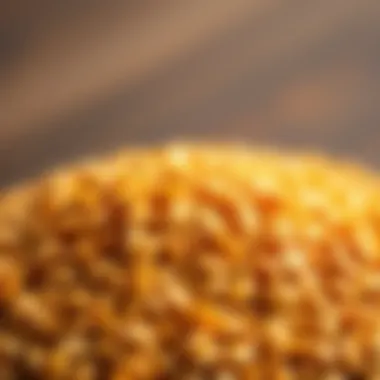 A close-up view of cam resin grains