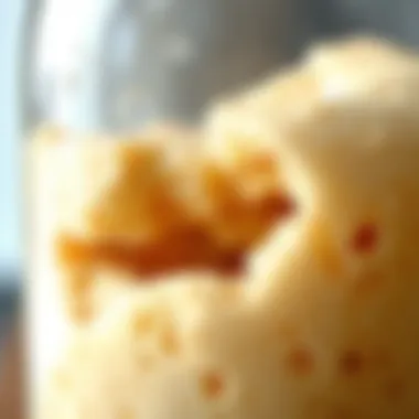 Close-up of a bubbling sourdough culture in a jar