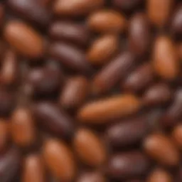 Close-up of carob pods highlighting their rich texture