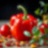 Nutrient-rich red bell pepper