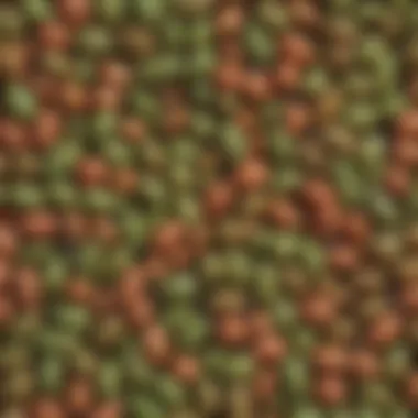 Close-up of Tender Beans A close-up of tender beans showcasing their texture and color