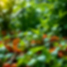 Lush green plants in a vibrant ecosystem