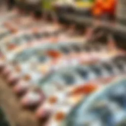 Freshly caught fish on display