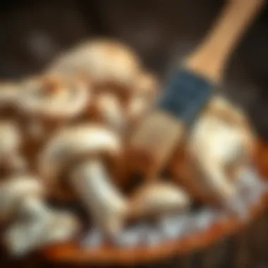 Close-up of cleaning oyster mushrooms with a brush