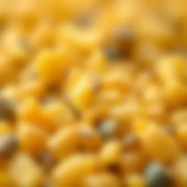 Close-up of pollen granules