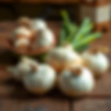 Fresh onions arranged on a rustic wooden table