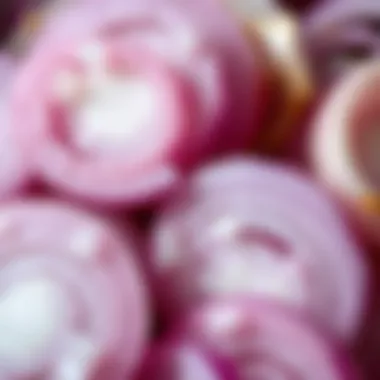 A close-up of sliced onions showcasing their texture