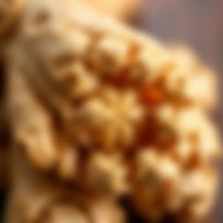 A close-up of ginger showcasing its texture
